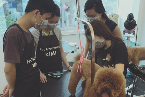 kimi-pet-gromming-school