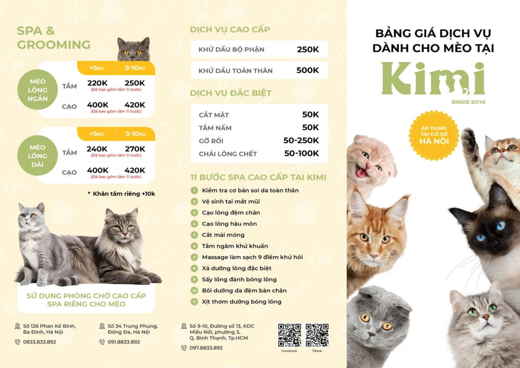 Bảng giá tắm cho mèo tại KimiPet