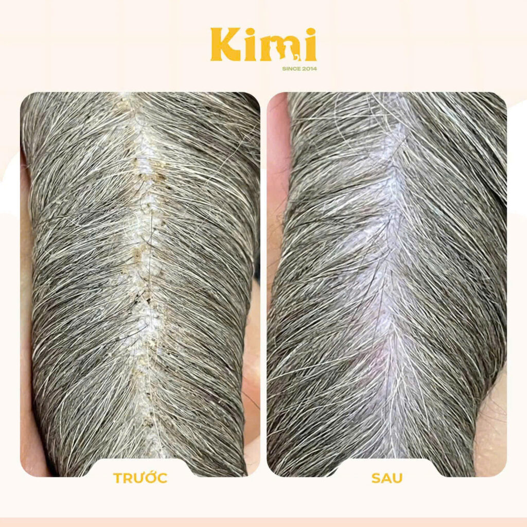 Dịch vụ cắt tỉa lông chó mèo 3