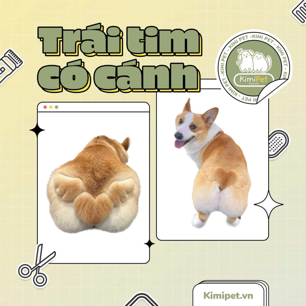 Dịch vụ cắt tỉa lông chó mèo 4