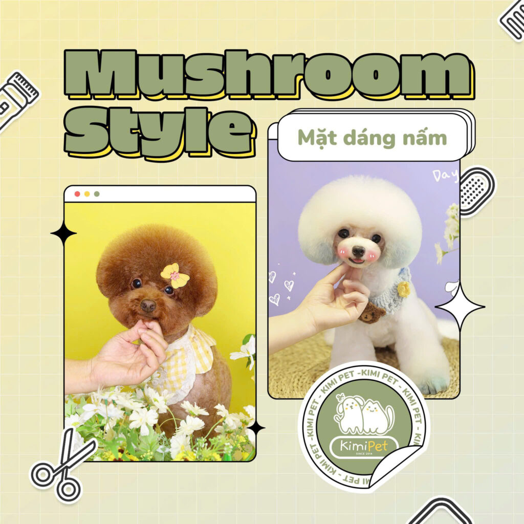 Dịch vụ cắt tỉa lông chó mèo 5