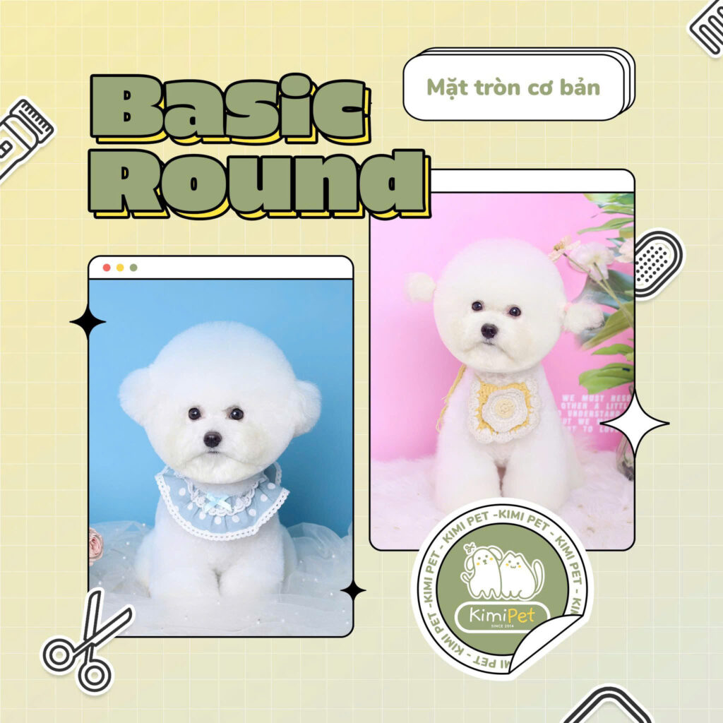 Dịch vụ cắt tỉa lông chó mèo 6