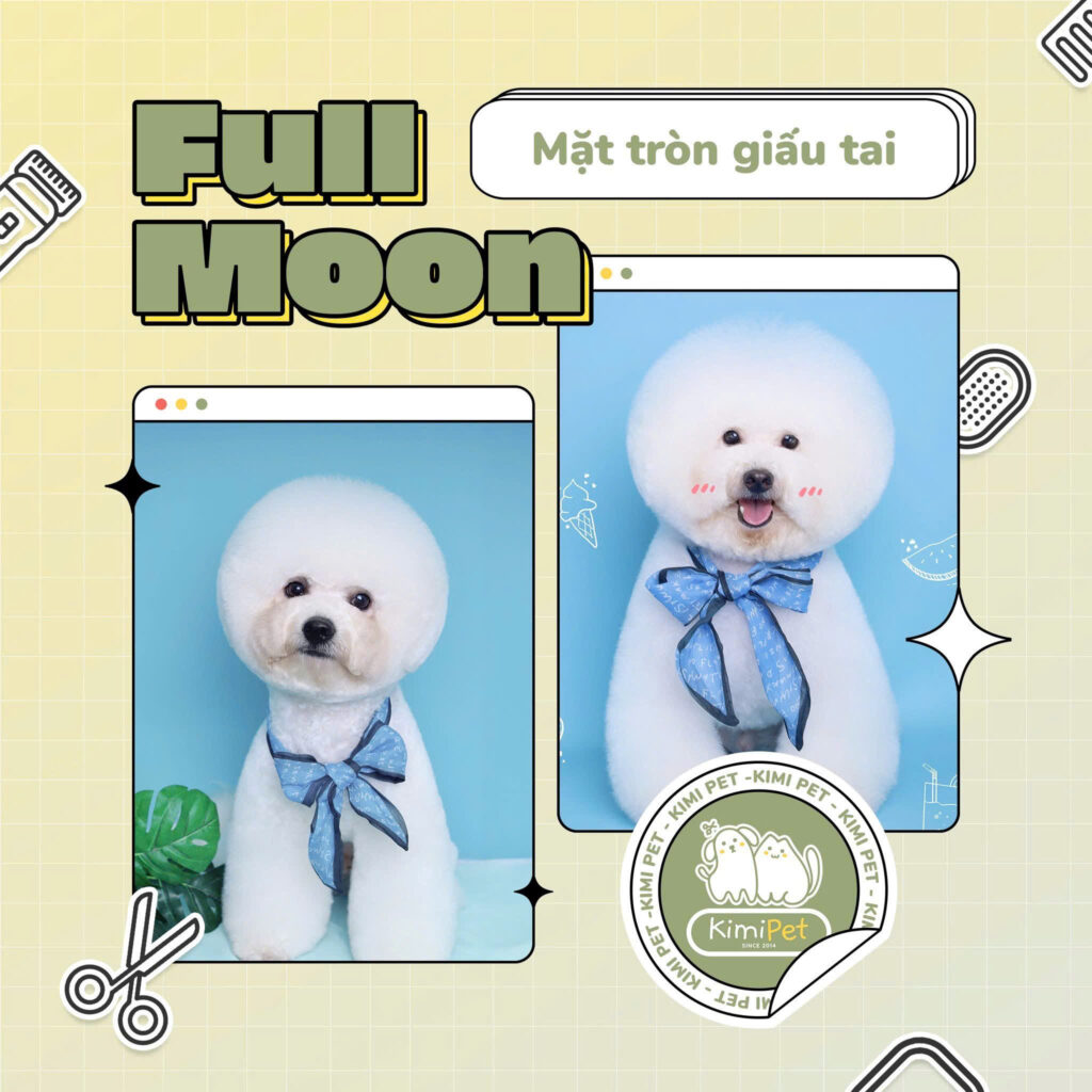 Dịch vụ cắt tỉa lông chó mèo 7