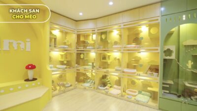 Khách sạn cho chó mèo đẳng cấp