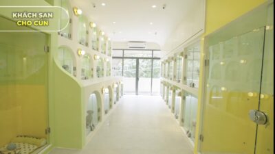 Khách sạn cho thú cưng sang trọng