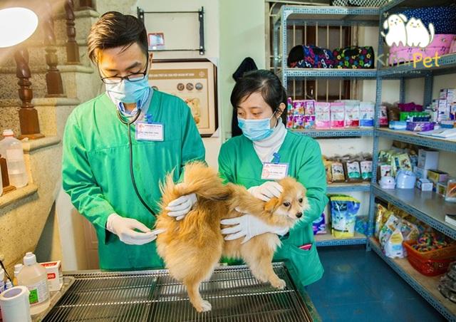 Trước khi đưa ra quyết định, chủ nuôi nên tham khảo ý kiến bác sĩ thú y để hiểu rõ hơn về lợi ích và rủi ro.