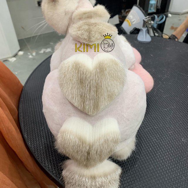 Khóa học cắt tỉa lông chó mèo chuyên nghiệp Level C tại Kimi Pet