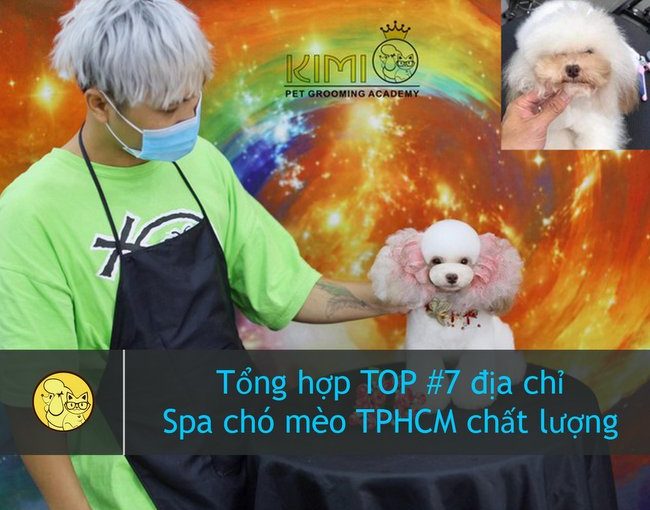 Dịch vụ spa chó mèo TPHCM tại Kimi Pet