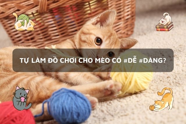 [Hướng dẫn] #6 cách tự làm đồ chơi cho mèo tại nhà đơn giản