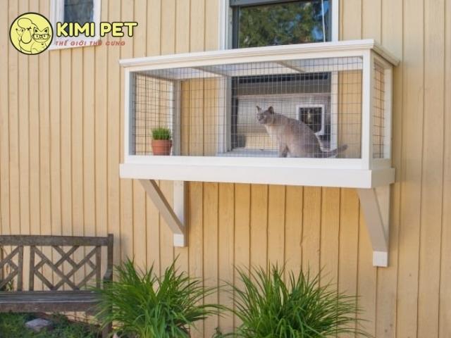 Một số cách làm lều cho mèo tại nhà