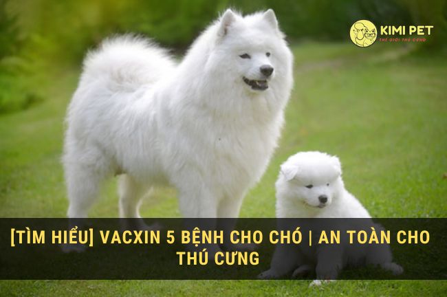 vacxin 5 bệnh cho chó