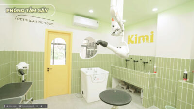 dịch vụ cắt tỉa lông chó mèo