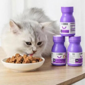 Viên Vitamin Nourse Mèo phù hợp với từng giai đoạn phát triển và tình trạng sức khỏe của mèo.