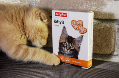 Vitamin Phô Mai Beaphar Kitty là lựa chọn lý tưởng để dưỡng lông mượt mà và hỗ trợ tăng cân cho mèo cưng của bạn.