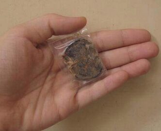 Lấy được nhau mèo được cho là đem lại may mắn và tài lộc.