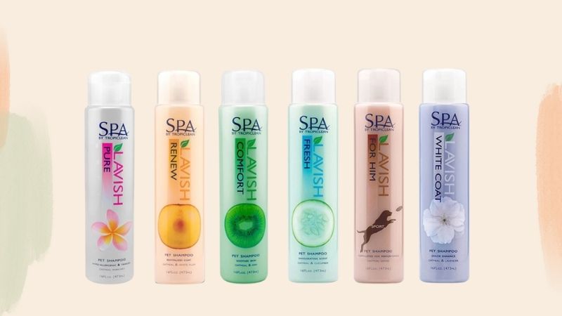 Sữa tắm cho mèo Tropiclean