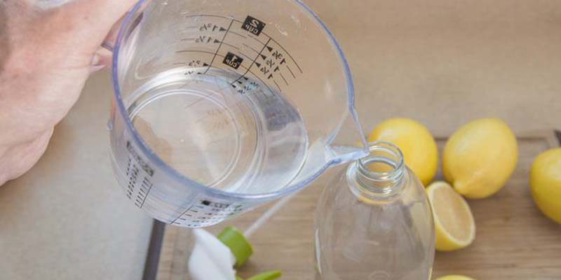 Khử mùi chó mèo trong nhà