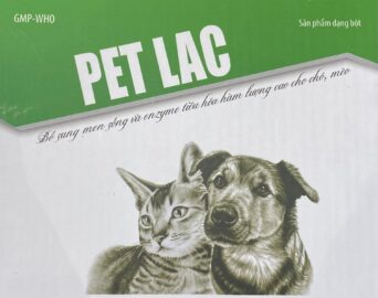 Men Elac hỗ trợ tiêu hóa và tăng cường sức khỏe đường ruột.