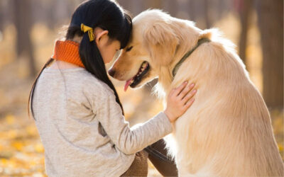 Ngày Quốc tế Chó Mèo ra đời nhằm nâng cao nhận thức về chăm sóc và bảo vệ thú cưng.