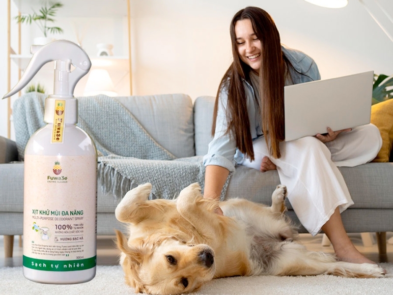 Khử mùi chó mèo trong nhà từ gốc
